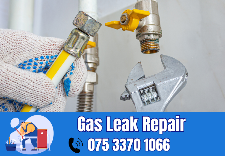 gas leak repair Dover