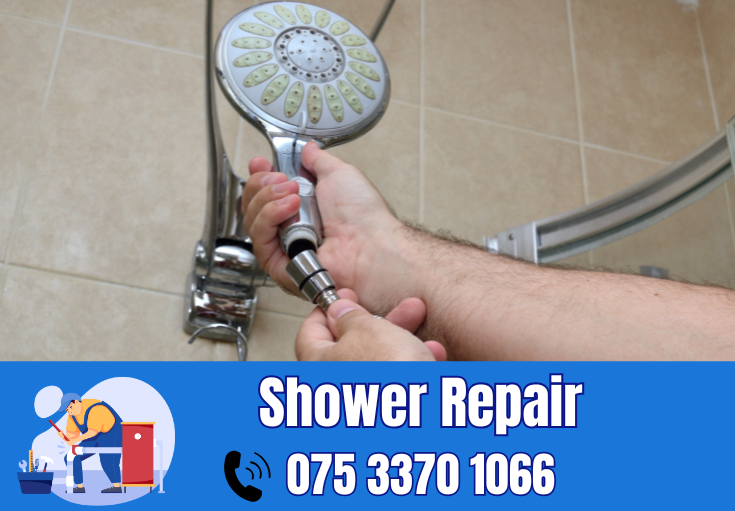 shower repair and installation Dover