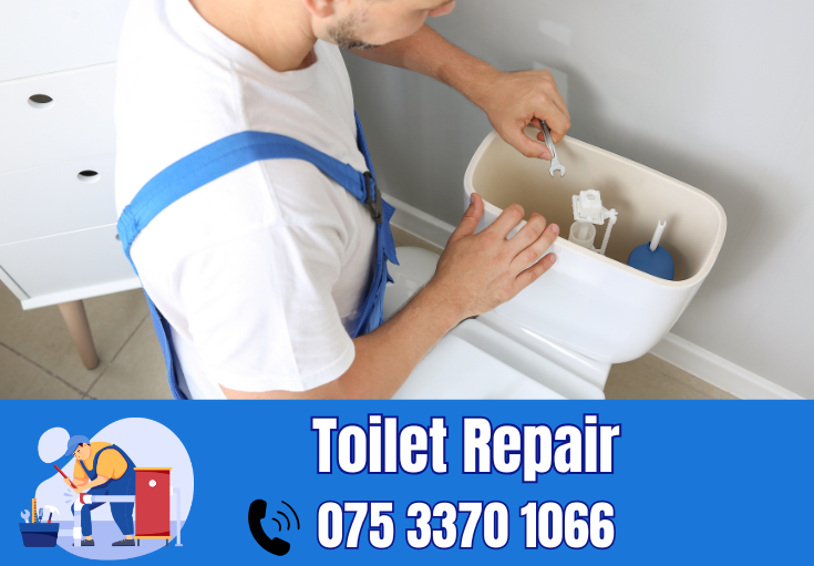 toilet repair Dover